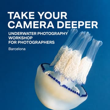 Cover Image for Underwater photography workshop for Photographers