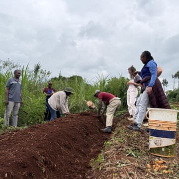Cover Image for Permaculture Course, 2 - Day - with Kagwe