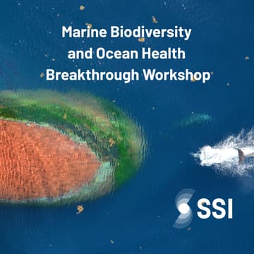 Cover Image for Marine Biodiversity and Ocean Health Breakthrough Workshop