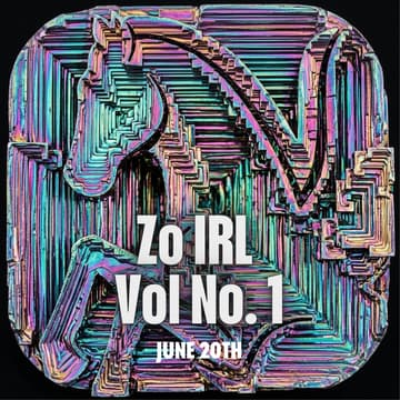 Cover Image for Zo IRL Vol. 1