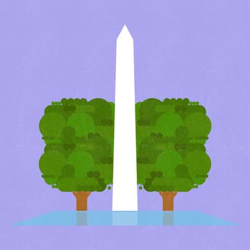 Cover Image for Maum Market DC