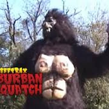 Cover Image for B-Movie Night: Suburban Sasquatch (2004) (Online)