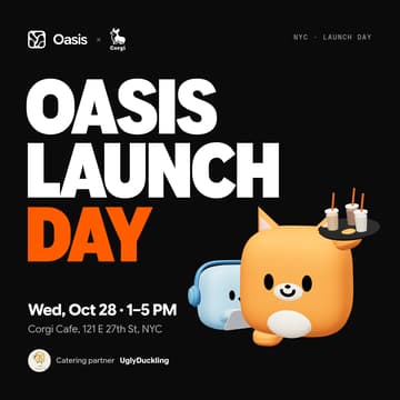Cover Image for Oasis Launch Day at Corgi Cafe