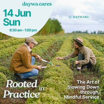 Cover Image for DAYWA Cares June 2026 - Rooted in Practice