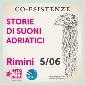Cover Image for Storie di Suoni Adriatici