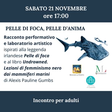 Cover Image for Pelle di foca, pelle d'anima — Racconto performativo e laboratorio artistico per adulti (Associazione Il Castello odv)