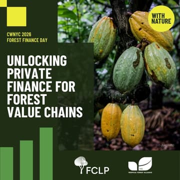 Cover Image for Unlocking Private Finance for Forest Value Chains