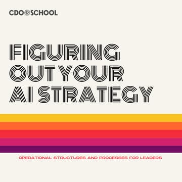 Cover Image for Operations: Figuring Out Your AI Strategy