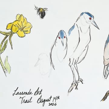 Cover Image for Sketch and Walk: Nature Sketching with Alan Li (Senior-friendly)