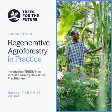 Cover Image for Regenerative Agroforestry in Practice: Introducing TREES’ New Virtual Learning Course