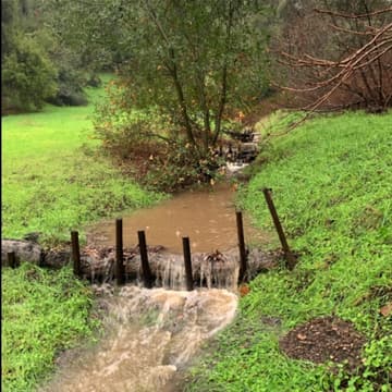Cover Image for Gully Stuffing, Log & Rock Check Dams