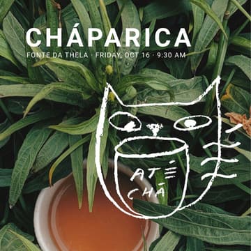Cover Image for CHÁPARICA - Piscina Infusão by Aroeira Wellness