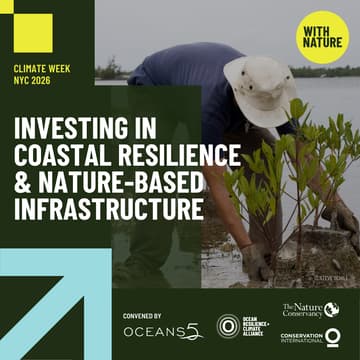 Cover Image for Investing in Coastal Resilience and Nature-Based Infrastructure