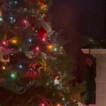Cover Image for TEXTURED TREE ART🎄