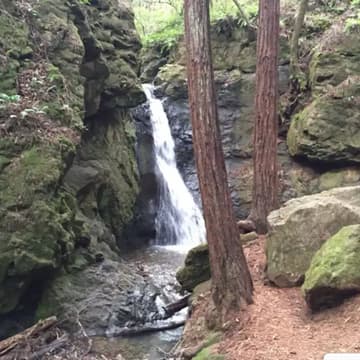 Cover Image for September - Founders Walking Meeting - Mill Valley