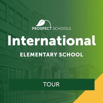 Cover Image for International Elementary School Tour