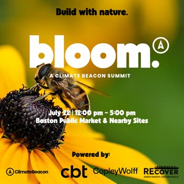 Cover Image for Bloom: Build with nature.
