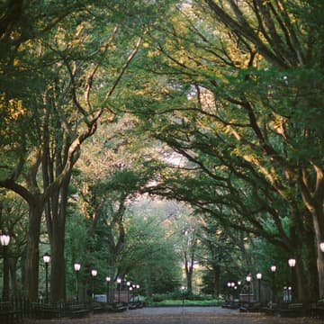 Cover Image for Creative Women Walk One Year Anniversary: Central Park