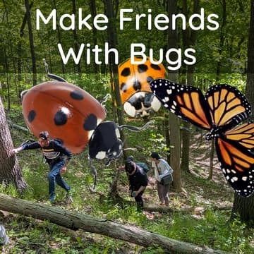 Cover Image for A Saccade of Pollinators