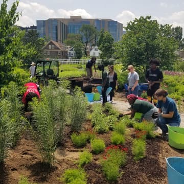 Cover Image for Green & Healthy Schools Garden Party