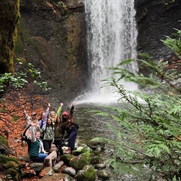 Cover Image for ammonite falls (via creekside)