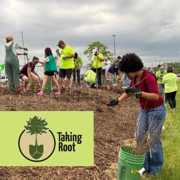 Cover Image for Taking Root's Miyawaki Mini-Forest Initiative: Camp Washington