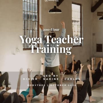 Cover Image for 🧘 Bodytree 200-Hour Yoga Teacher Training