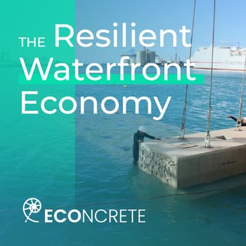 Cover Image for The Resilient Waterfront Economy