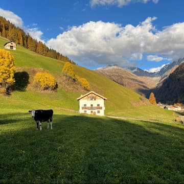 Cover Image for Reconnect (Südtirol)