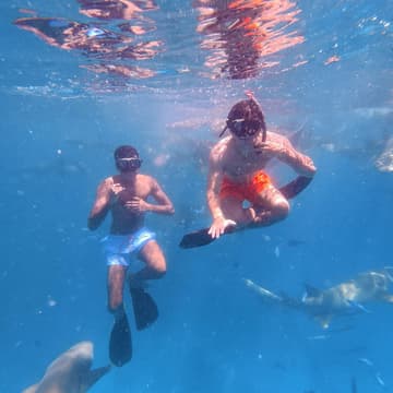 Cover Image for maldives!