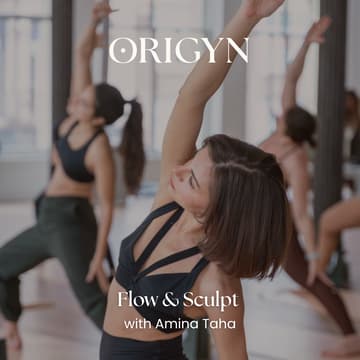 Cover Image for Flow & Sculpt