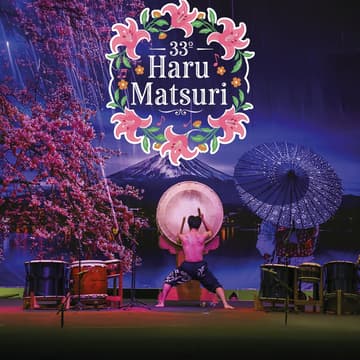 Cover Image for XII Haru Matsuri