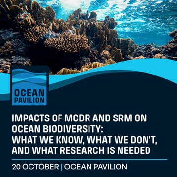 Cover Image for Impacts of mCDR and SRM on Ocean Biodiversity: What We Know, What We Don’t, and What Research Is Needed