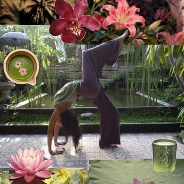 Cover Image for rigsc: jungle flow