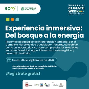 Cover Image for Experiencia inmersiva "Del bosque a la energía"