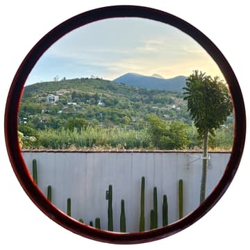 Cover Image for Afternoon Garden Yoga