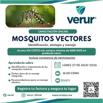 Cover Image for MOSQUITOS VECTORES