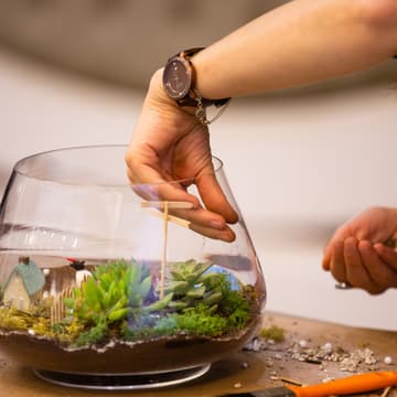 Cover Image for Lezione introduttiva | Laboratorio di terrarium: il mondo sottovetro 🌱