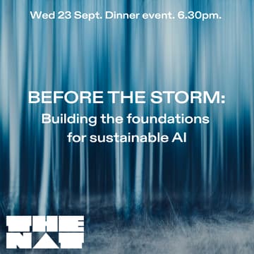 Cover Image for Before the Storm