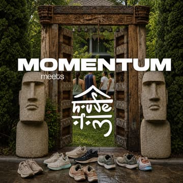 Cover Image for Momentum Meets OM