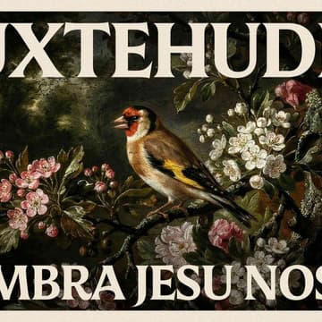 Cover Image for Buxtehude's 'Membra Jesu Nostri'
