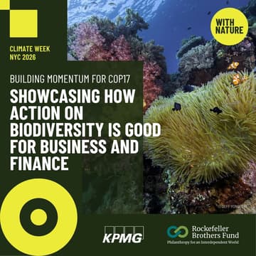 Cover Image for Building momentum for COP17: Showcasing how action on biodiversity is good for business and finance