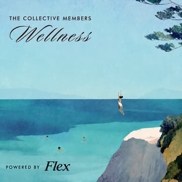 Cover Image for Members [wellness]