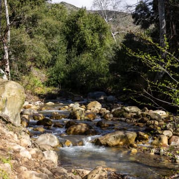 Cover Image for Hike - Rattlesnake Trail