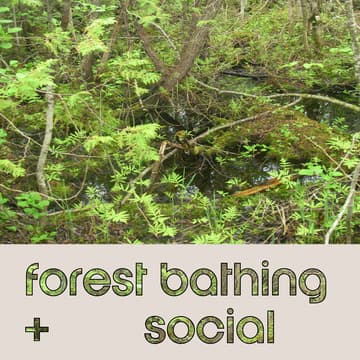 Cover Image for Forest Bathing + Social