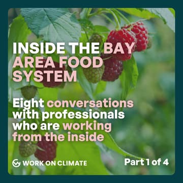 Cover Image for Why Sustainable Packaging Isn't Moving Faster (And What You Can Do About It)