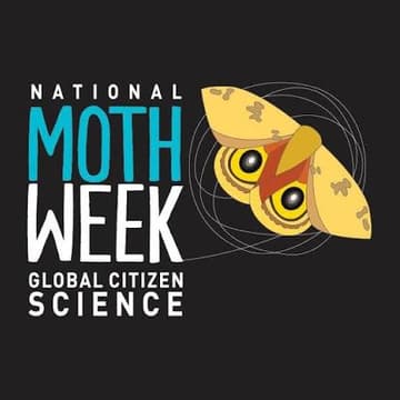 Cover Image for Wednesday Night Naturalism: Moths on Gabbro