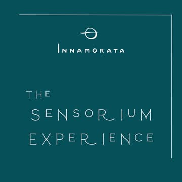 Cover Image for The Sensorium Experience