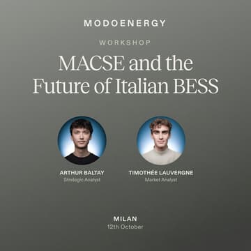 Cover Image for WORKSHOP: MACSE and the Future of Italian BESS