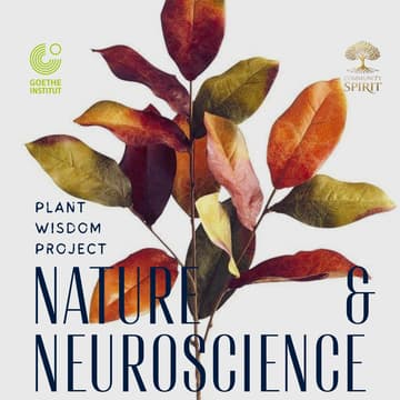 Cover Image for Nature & Neuroscience Workshop